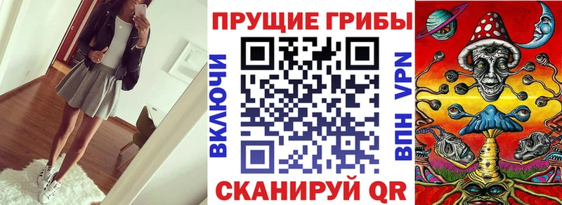 кракен tor  Туапсе  Псилоцибиновые грибы Magic Shrooms 